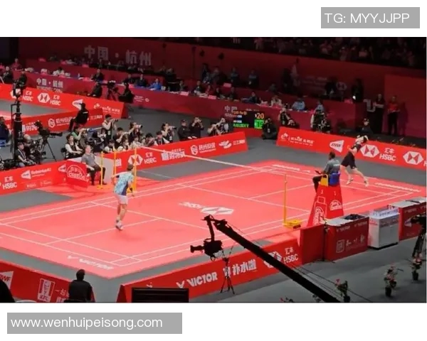 羽毛球盛宴：深入了解杭州羽毛球队的比赛技巧与经验分享